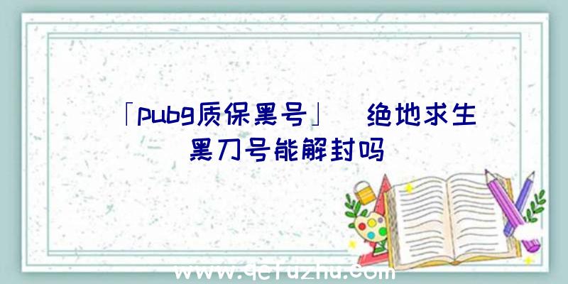 「pubg质保黑号」|绝地求生黑刀号能解封吗